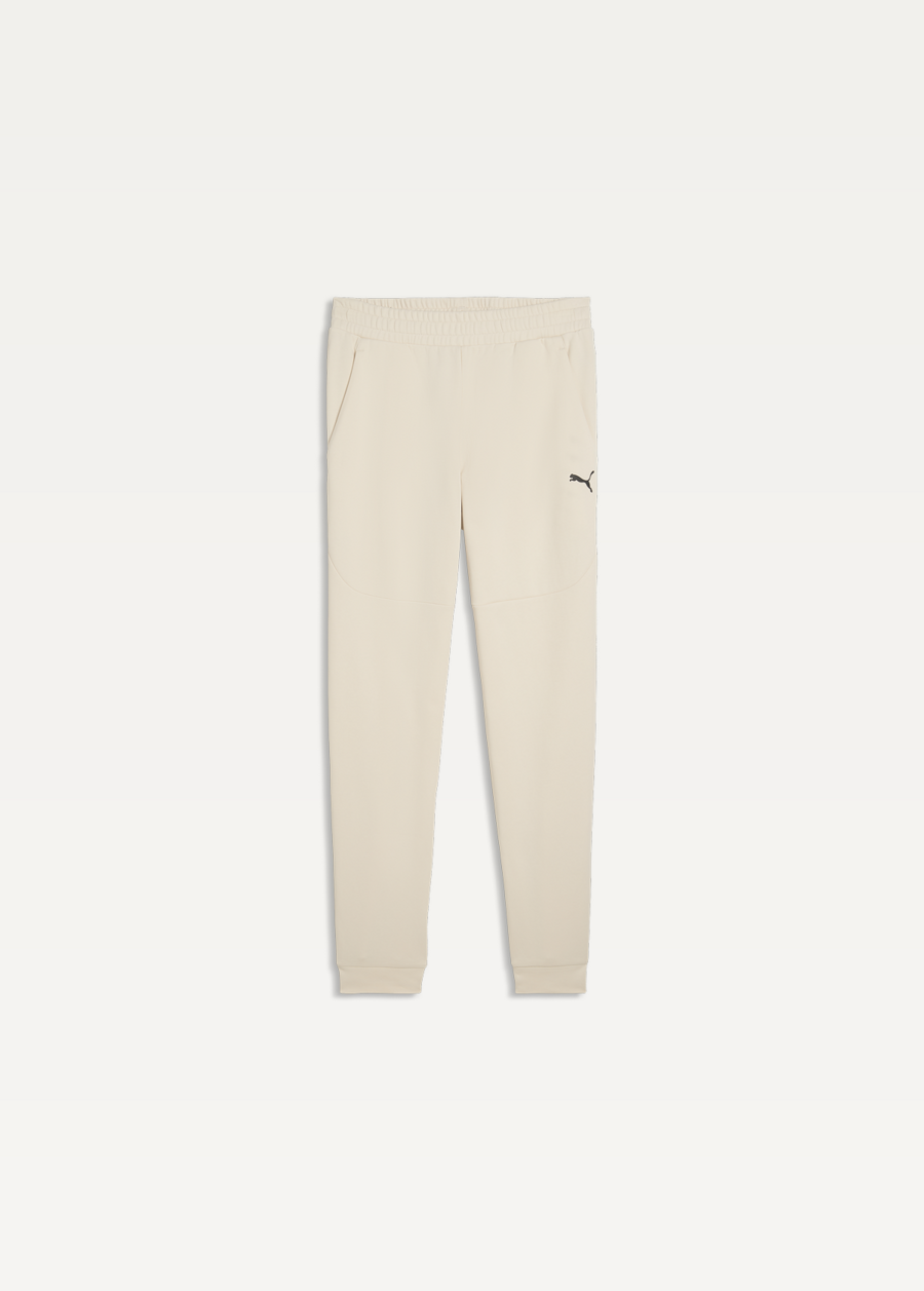 Спортивні штани чоловічі PUMA PUMATECH Pants Alpine Snow