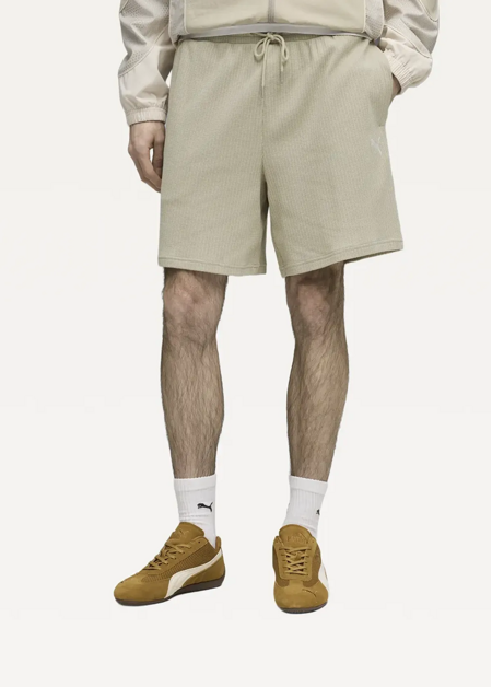 Спортивні шорти чоловічі PUMA WARDROBE ESS Shorts Pebble Gray