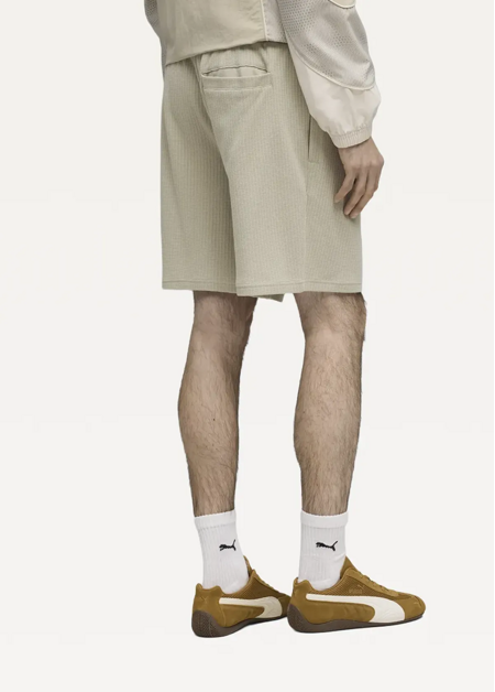 Спортивні шорти чоловічі PUMA WARDROBE ESS Shorts Pebble Gray