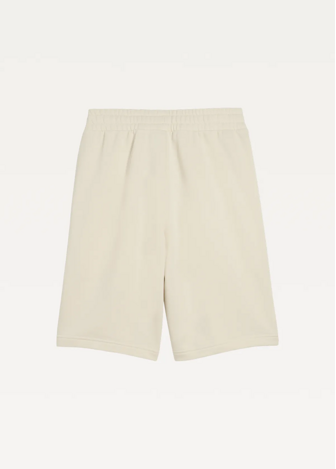 Спортивні шорти чоловічі PUMA ESS No. 1 Logo Shorts Alpine Snow