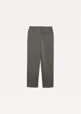 Спортивні штани чоловічі PUMA ESS Heavy Fleece Sweatpants Mouse Gray