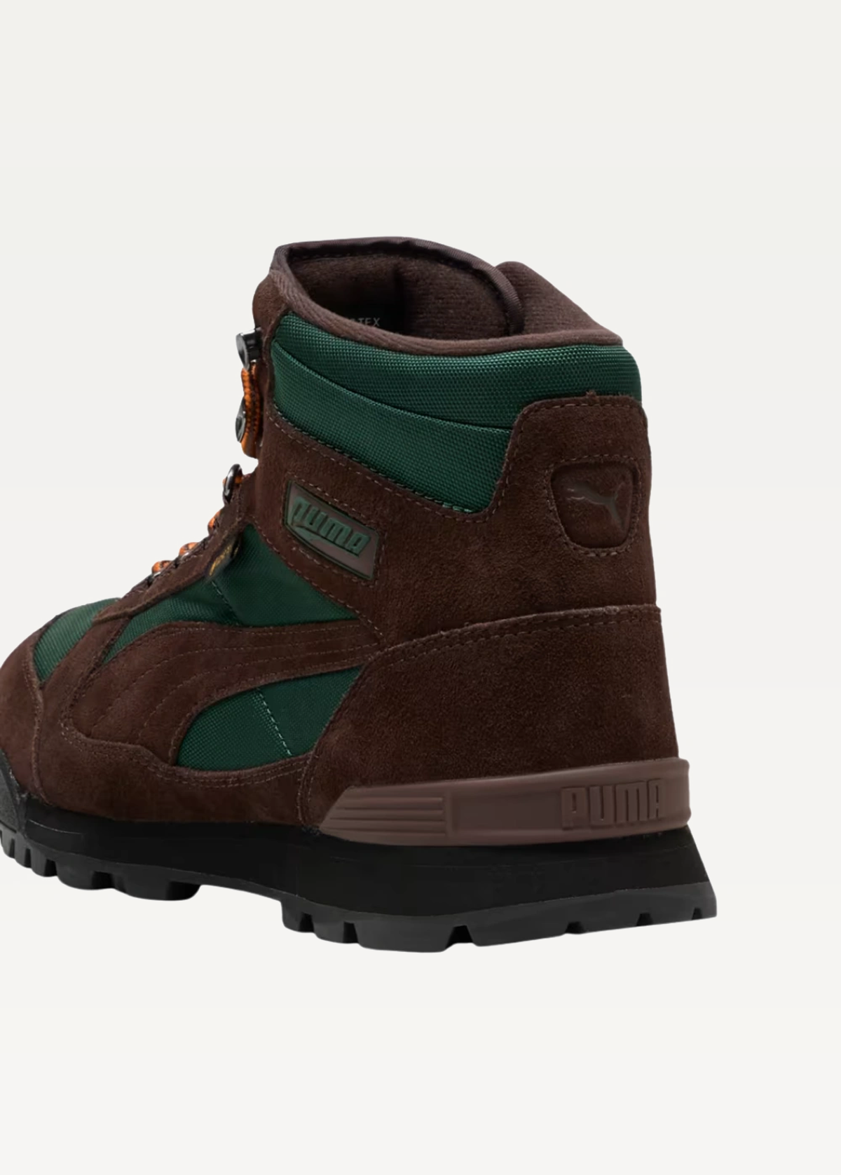 Черевики чоловічі PUMA RDR Boot GTX Surf Green