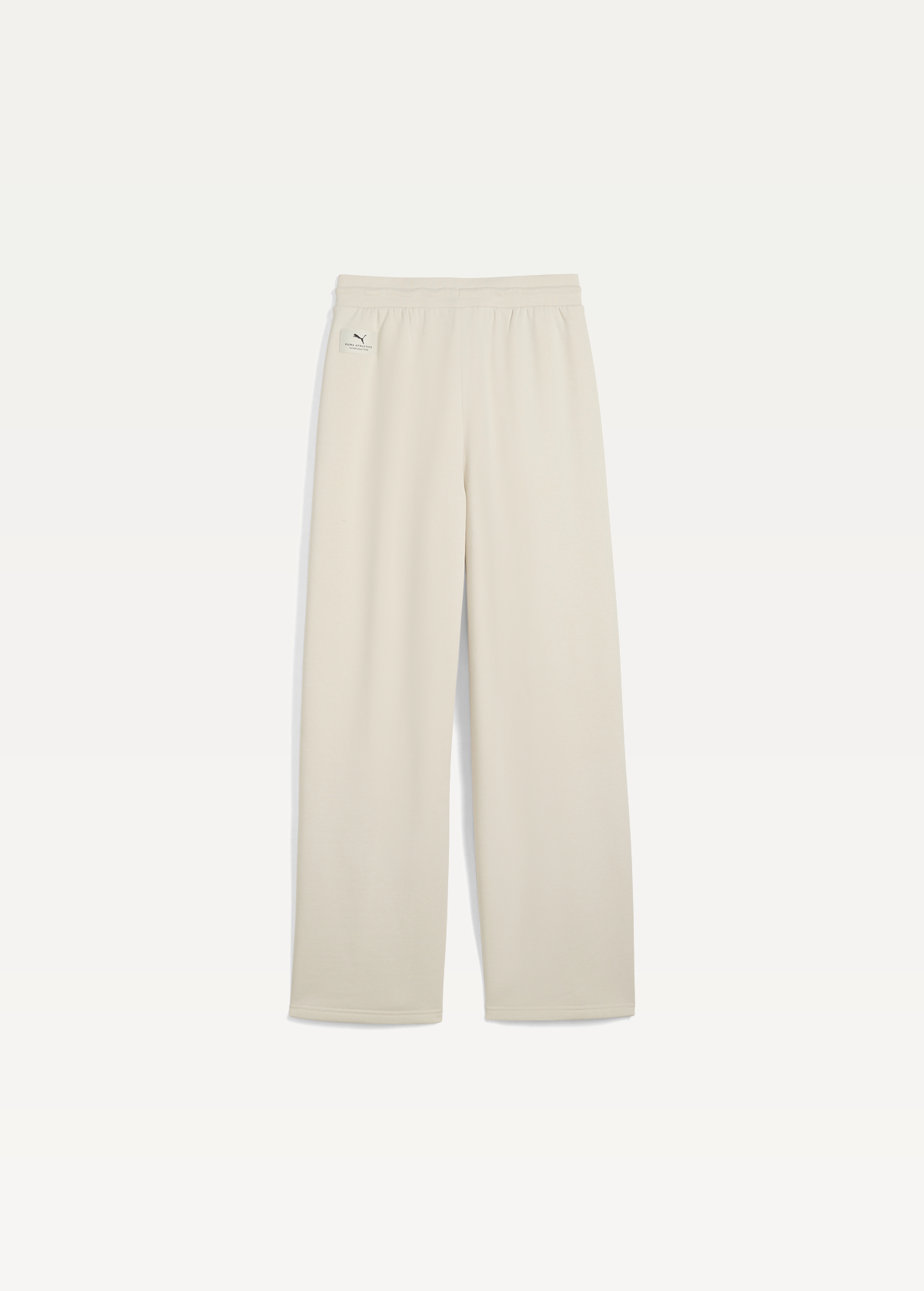 Спортивні штани жіночі PUMA CLASS Comfort Pinnacle Alpine Snow