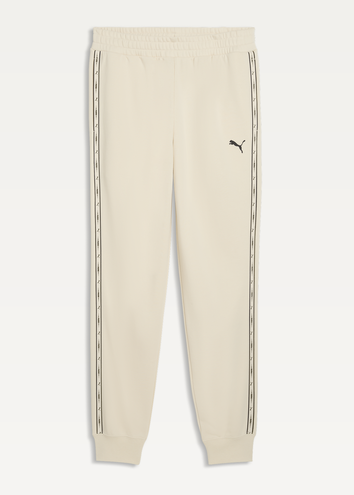 Спортивні штани чоловічі PUMA ESS TAPE Sweatpants Alpine Snow