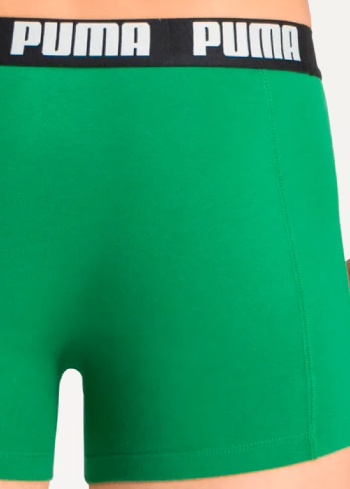 Спідня білизна чоловіча Puma Basic Boxer 2P чорного та зеленого кольору