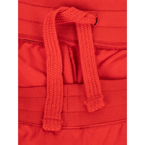 Шорти чоловічі EA7 Emporio Armani червоного кольору (8NPS75 PJ05Z 14)