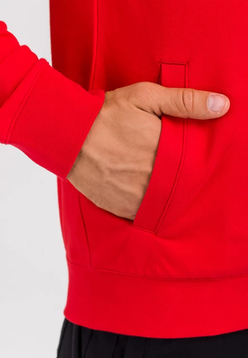 Толстовка спортивна чоловіча EA7 Emporio Armani червоного кольору (8NPMB8 PJ05Z 1450)