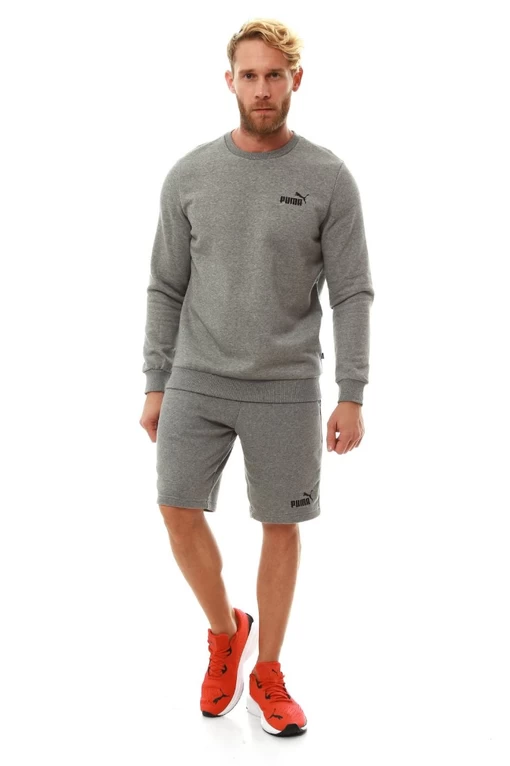 Шорты спортивные мужские Puma ESS Shorts серого цвета