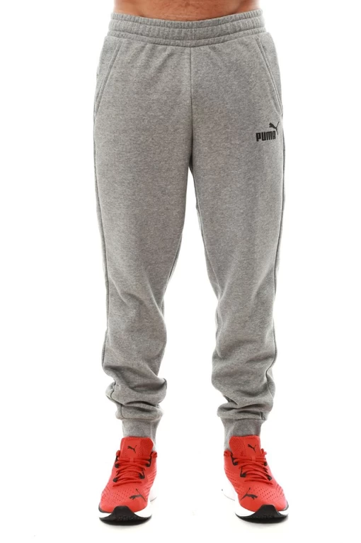 Спортивные брюки мужские Puma Essentials Logo Men's Sweatpants серого цвета