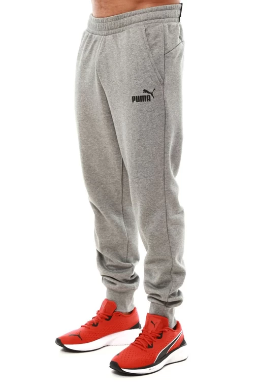 Спортивные брюки мужские Puma Essentials Logo Men's Sweatpants серого цвета