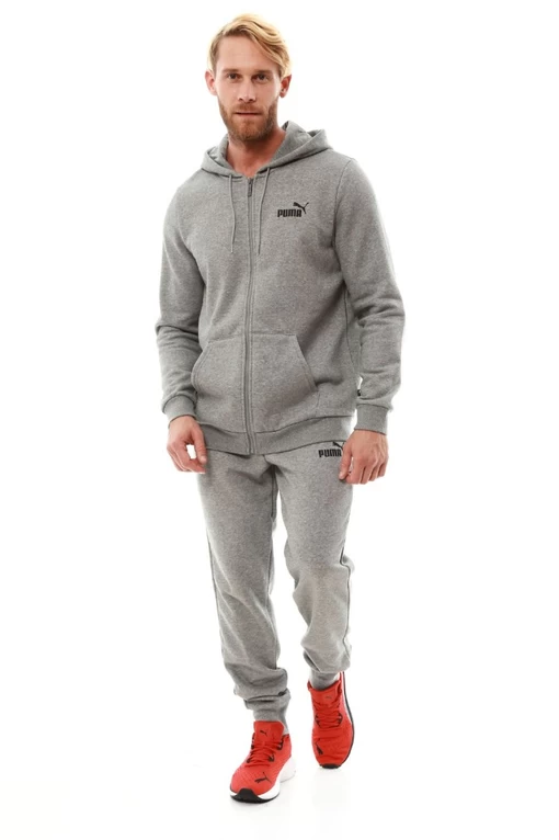 Спортивные брюки мужские Puma Essentials Logo Men's Sweatpants серого цвета