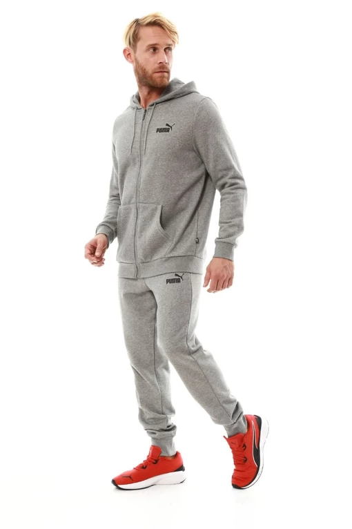 Спортивные брюки мужские Puma Essentials Logo Men's Sweatpants серого цвета