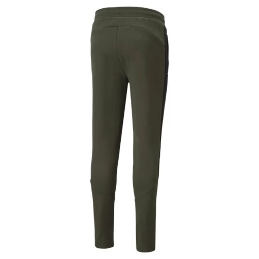 Спортивные штаны мужские Puma Evostripe Pants цвета хаки