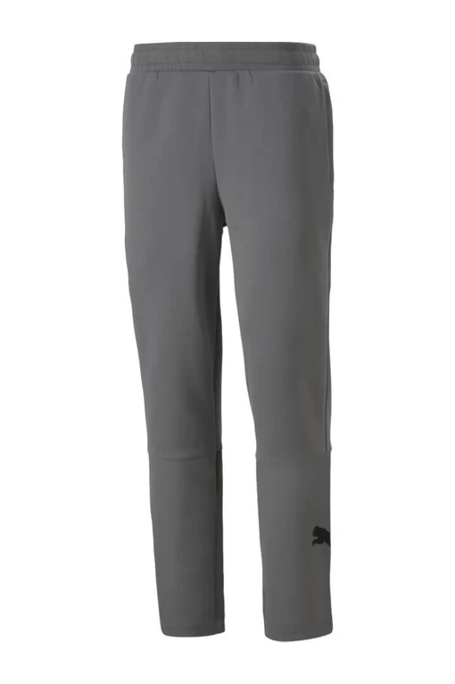 Спортивные штаны мужские Puma Power Cat Sweatpants серого цвета