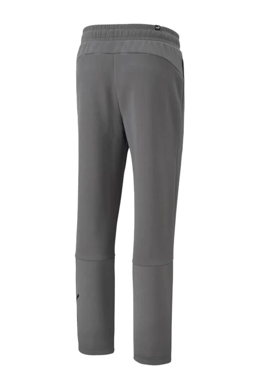 Спортивные штаны мужские Puma Power Cat Sweatpants серого цвета