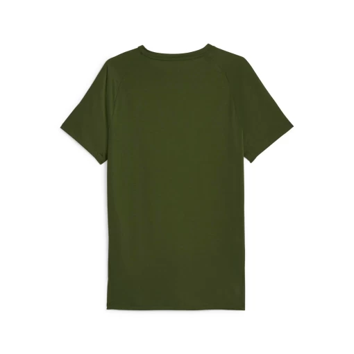 Футболка чоловіча Puma Evostripe Tee зеленого кольору 67592831
