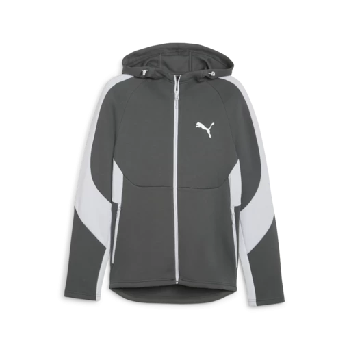 Толстовка мужская Puma EVOSTRIPE Full-Zip Hoodie серо-белого цвета