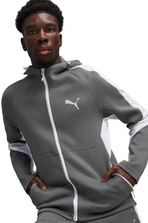 Толстовка мужская Puma EVOSTRIPE Full-Zip Hoodie серо-белого цвета