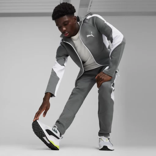 Толстовка мужская Puma EVOSTRIPE Full-Zip Hoodie серо-белого цвета