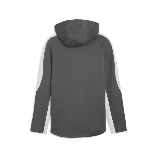 Толстовка мужская Puma EVOSTRIPE Full-Zip Hoodie серо-белого цвета