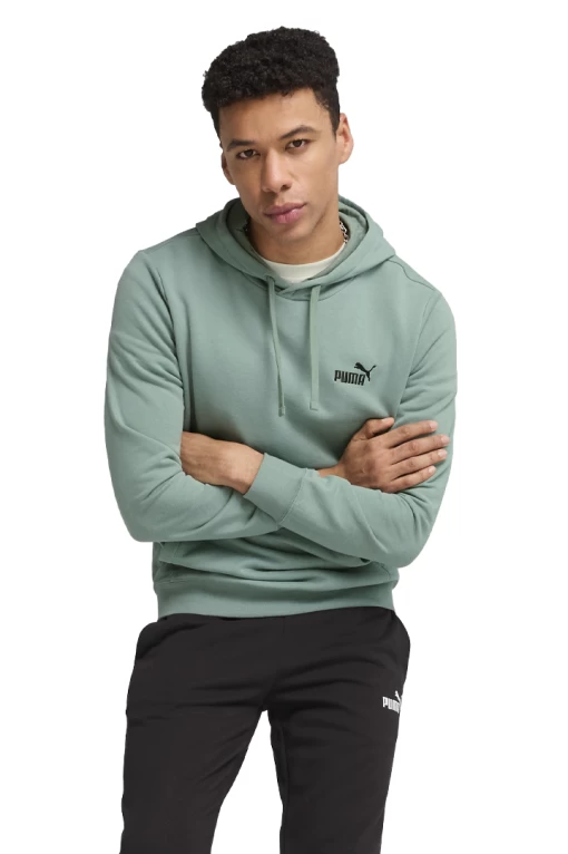 Худи мужское PUMA ESS Small No. 1 Logo Hoodie Green Moon мятного цвета